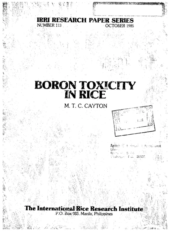 Boron toxicity in rice