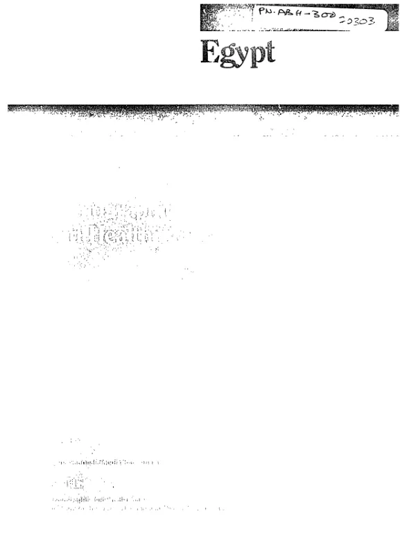 Egypt demographic and health survey 1988