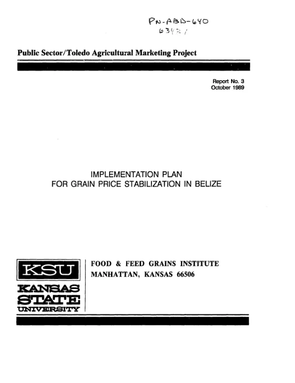 Implementation plan for grain price stabilization in Belize