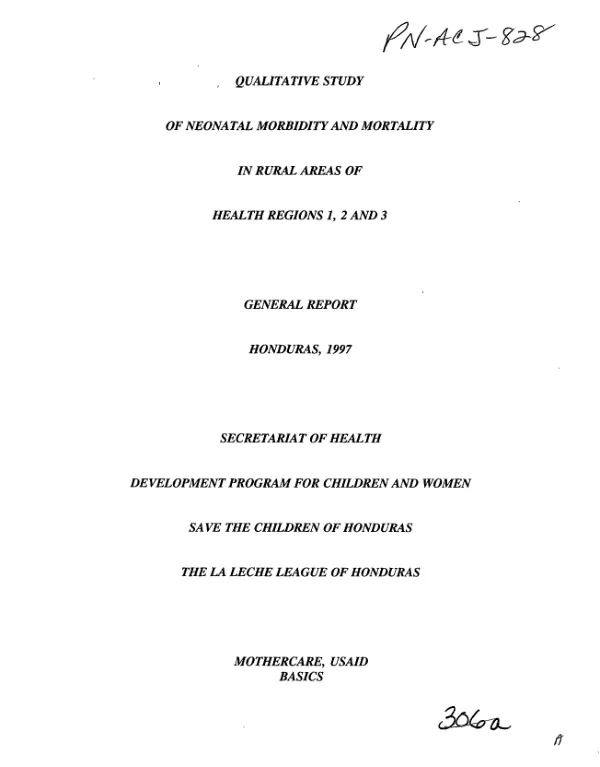 Local development II urban project : current budget system : users manual