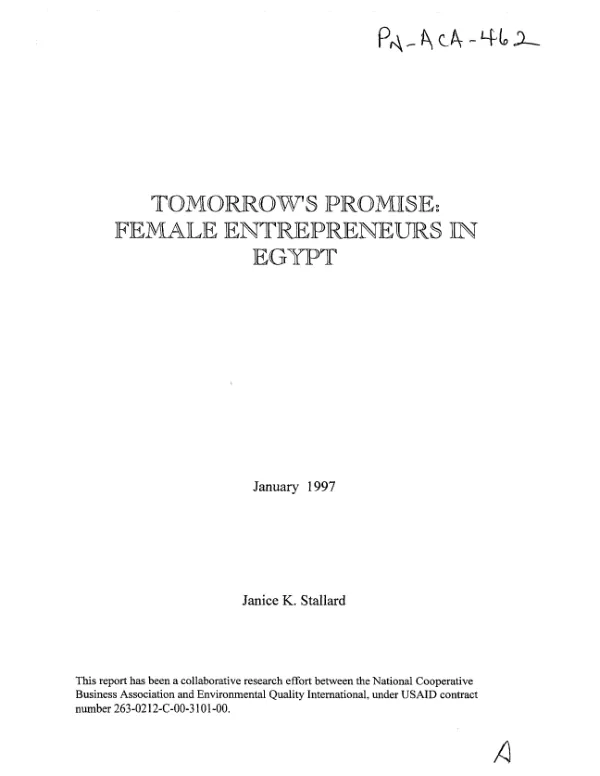 Tomorrow"s promise : female entrepreneurs in Egypt