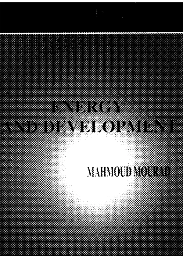 Civil liberties, democracy, and the performance of government projects