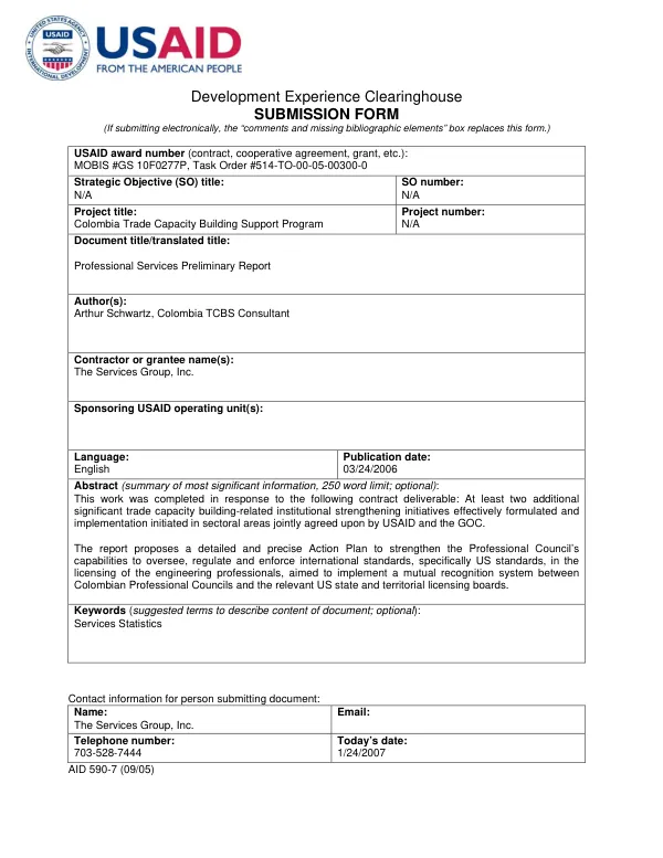 Professional services preliminary report
