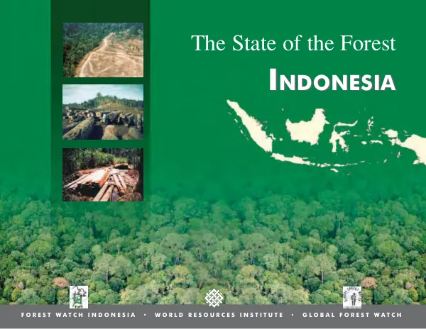 State of the forest : Indonesia