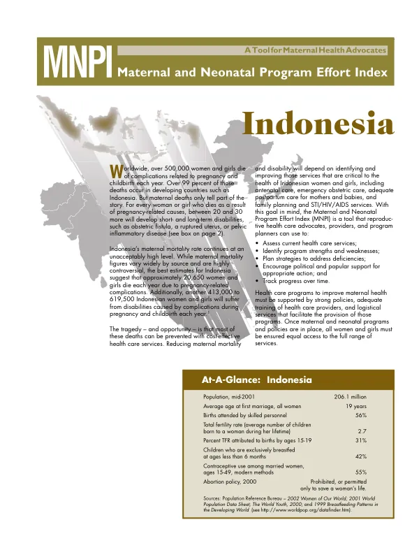 A tool for maternal health advocates : MNPI (maternal and neonatal program effort index) -- Indonesia
