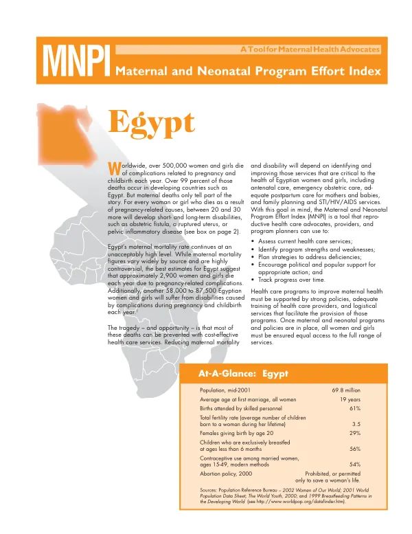 A tool for maternal health advocates : MNPI (maternal and neonatal program effort index) -- Egypt