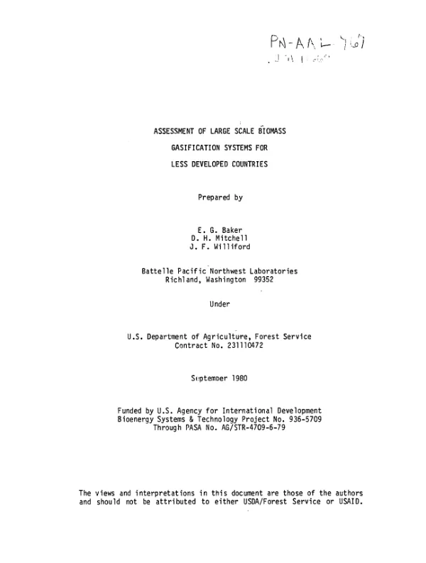 Assessment of large scale biomass gasification systems for less developed countries