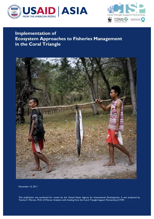 Contraceptive social marketing : Papua New Guinea -- marketing plan, June 1991-September 1993