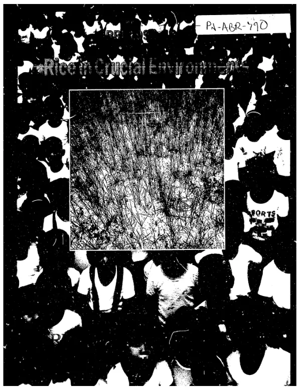 IRRI 1992-1993 : rice in crucial environments