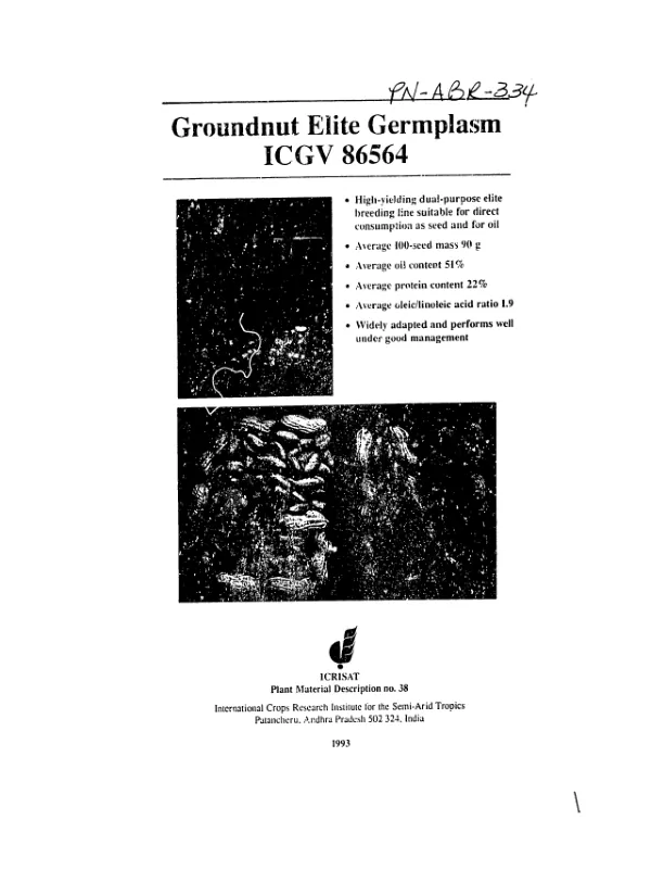 Groundnut elite germplasm ICGV 86564