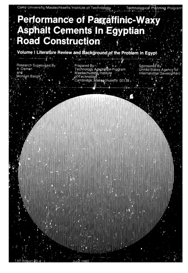 Literature review and background of the problem in Egypt