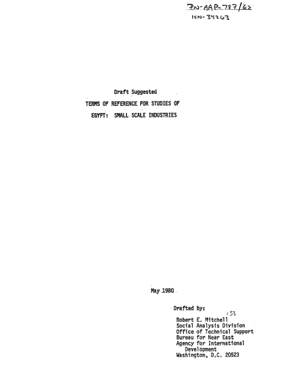 Terms of reference for studies of Egypt : small scale industries