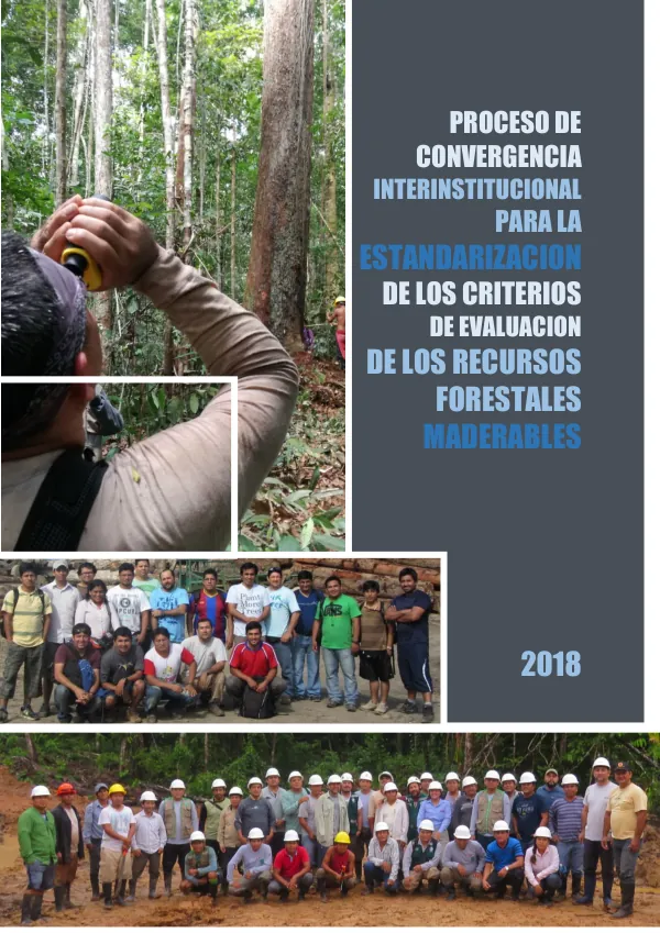 Especialista en Convergencia y Buenas Prácticas de Manejo Forestal