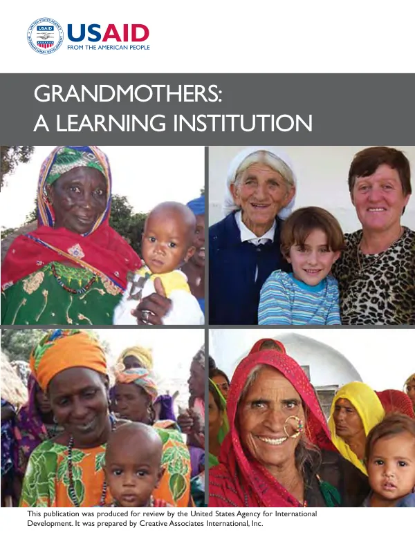 U.N. decade for women conference - forward looking strategies : energy position paper