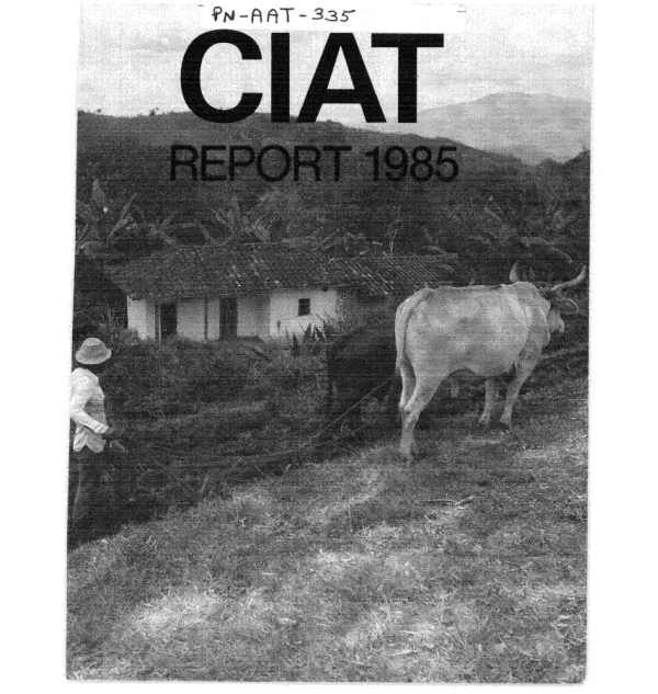 CIAT report 1985