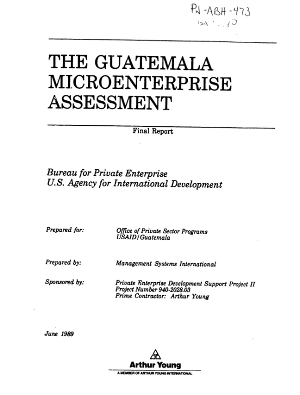 Guatemala microenterprise assessment