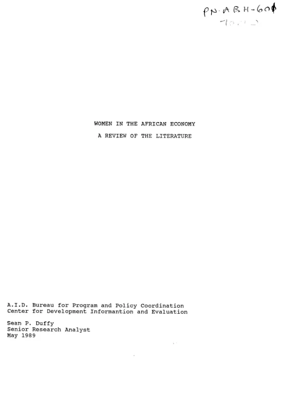 Women in the African economy : a review of the literature
