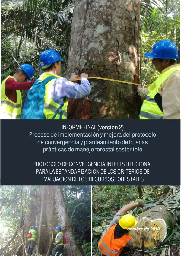 Especialista en Gestión de Concesiones Maderables