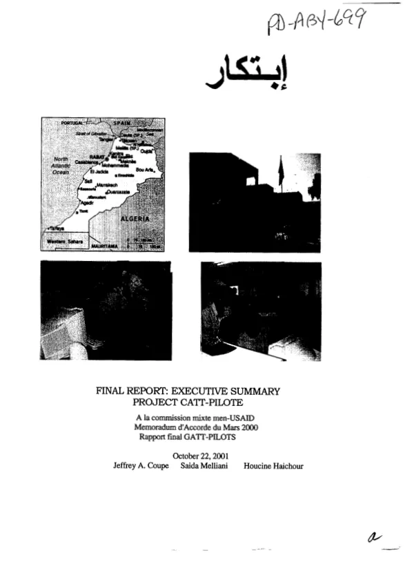Final report : executive summary -- project CATT-PILOTE [computer assisted teacher training]