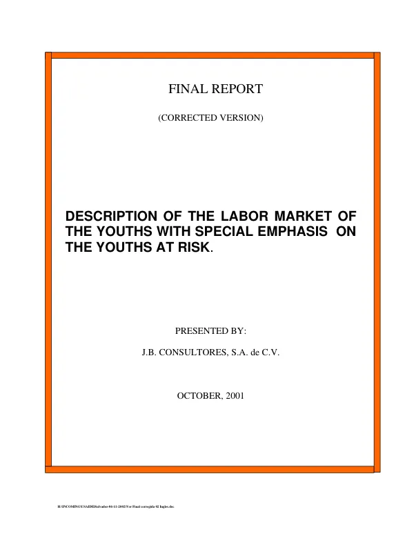 Description of the labor market of the youths with special emphasis on the youths at risk : final report (corrected version)