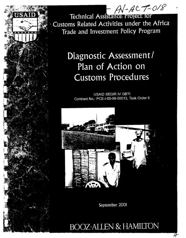 Diagnostic assessment/plan of action on customs procedures