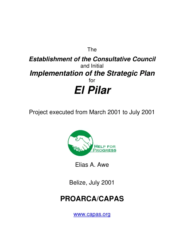 Establishment of the consultative council and initial implementation of the strategic plan for El Pilar