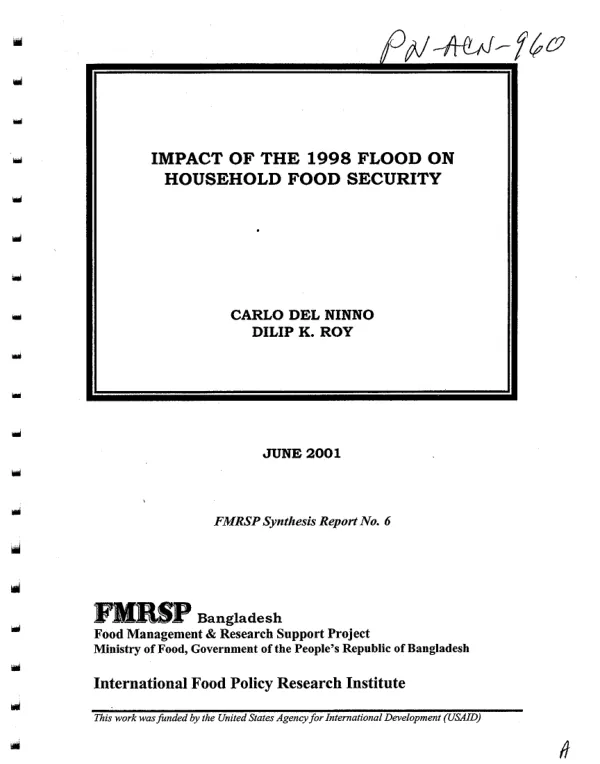 Impact of the 1998 flood on household food security
