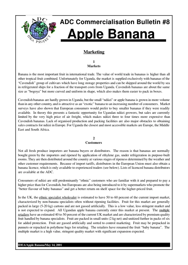 New trade opportunities for Africa : a survey of literature and experiences