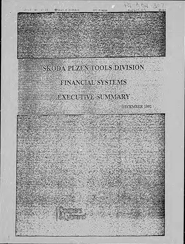 Skoda Plzen Tools Division -- financial systems : executive summary