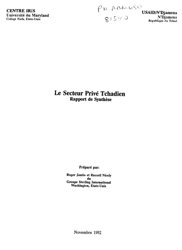 Secteur prive Tchadien : rapport de synthese