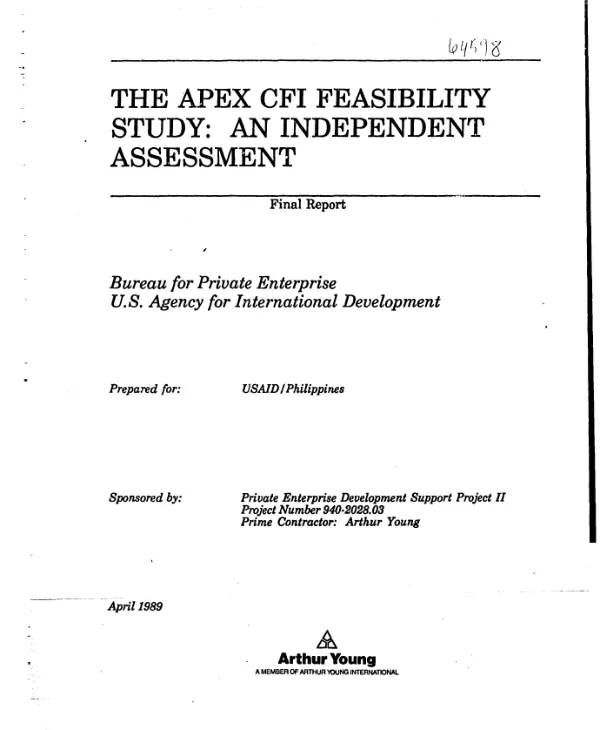 APEX CFI feasibility study : an independent assessment