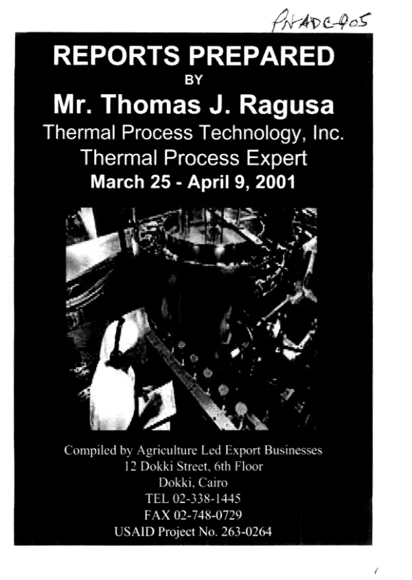 Reports prepared by Thomas J. Ragusa, Thermal Process Technology, Inc., thermal process expert, March 25-April 9, 2001
