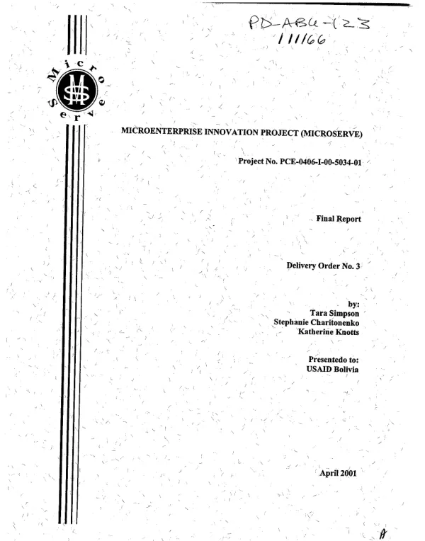 Microenterprise innovation project (MICROSERVE) : final report