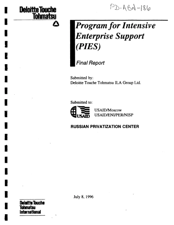 Program for intensive enterprise support (PIES) : final report