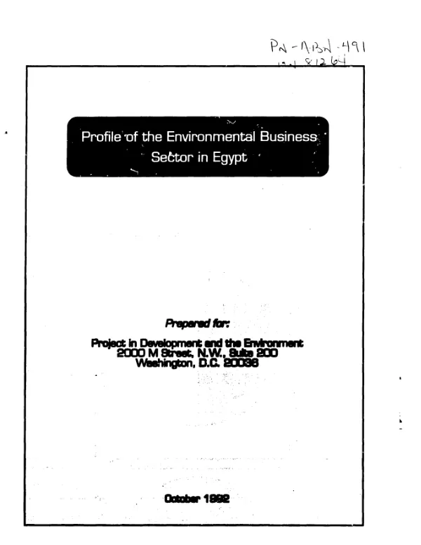 Profile of the environmental business sector in Egypt