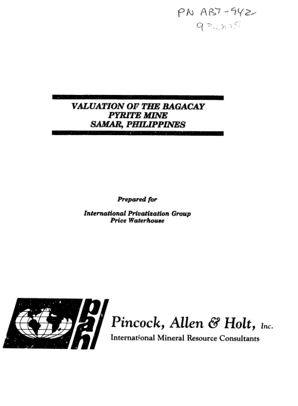 Valuation of the Bagacay Pyrite Mine, Samar, Philippines