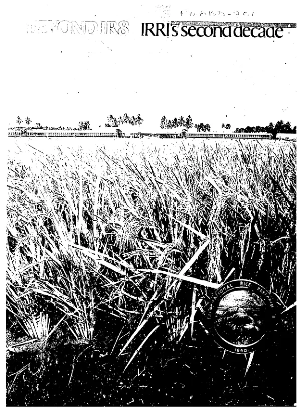 Beyond IR8/IRRI"s second decade