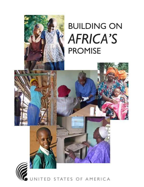 Building on Africa"s promise
