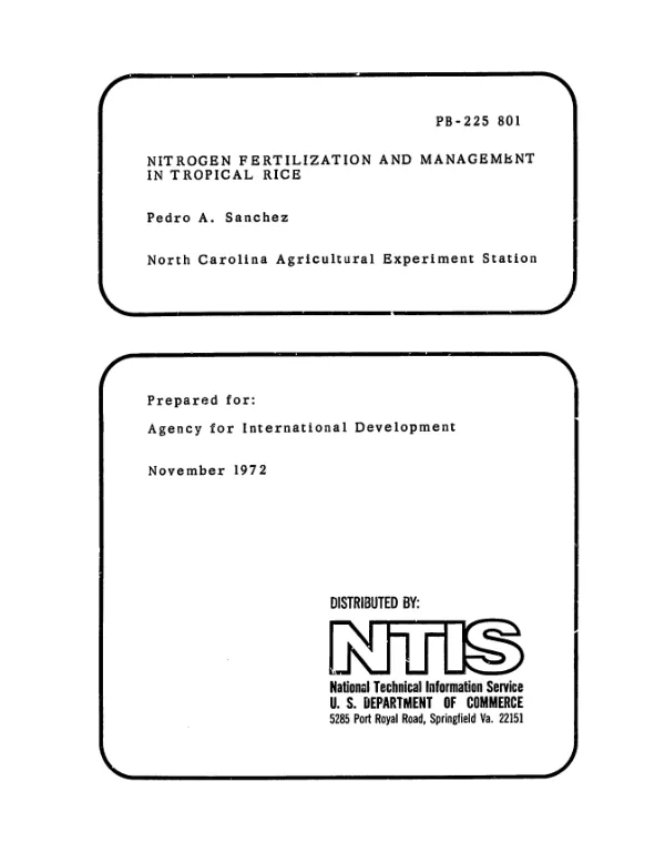 Nitrogen fertilization and management in tropical rice