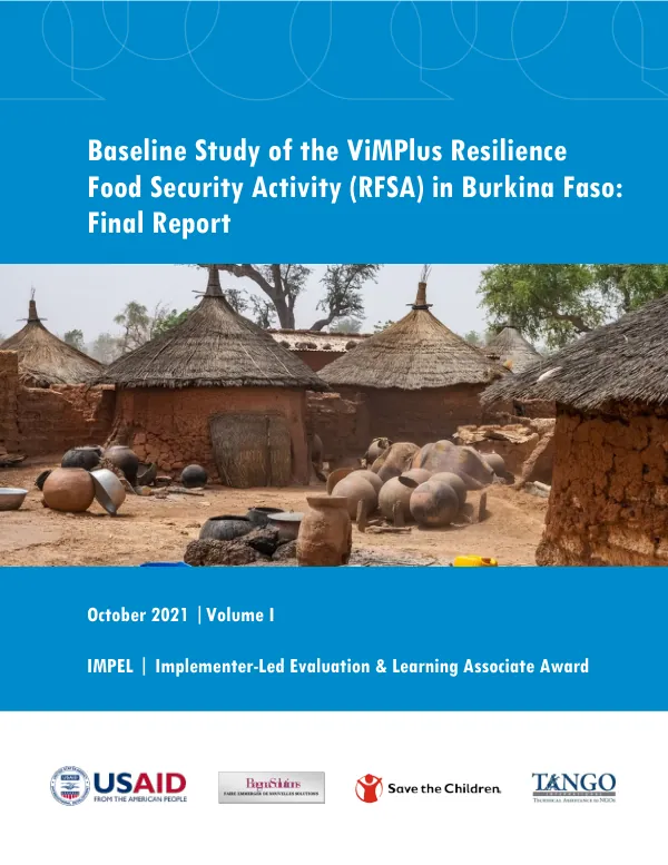 Baseline study of the ViMPlus resilience food security activity (RFSA) in Burkina Faso : final report (volume I)