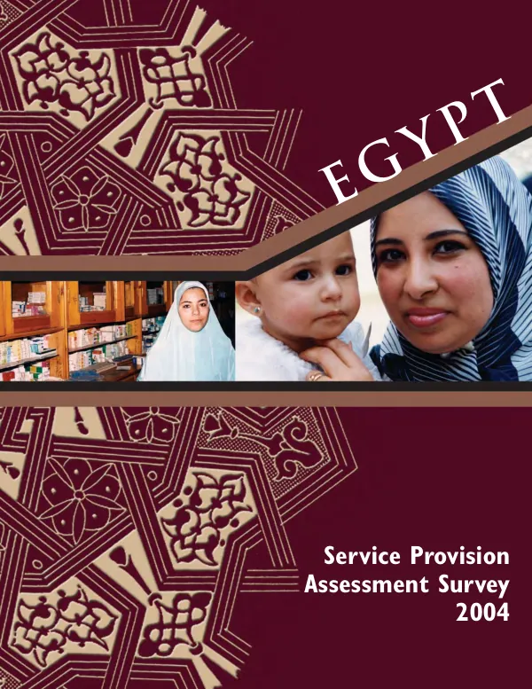 Egypt service provision assessment survey 2004
