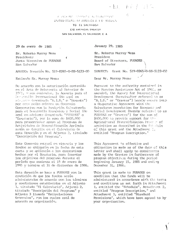 Grant no. 519-0265-G-SS-5123-00 to the Salvadoran Foundation for Economic and Social Development (FUSADES)
