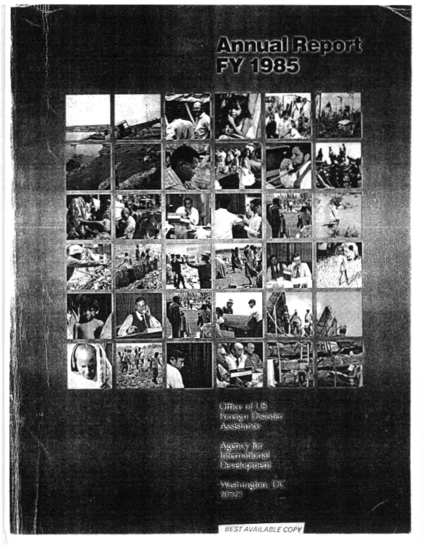 Annual report FY 1985
