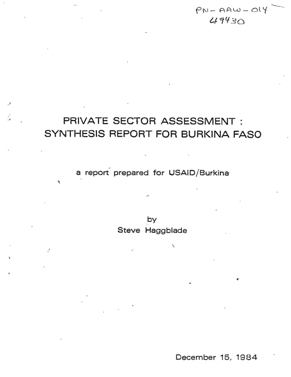 Private sector assessment : synthesis report for Burkina Faso