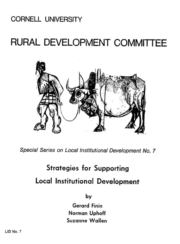 Strategies for supporting local institutional development
