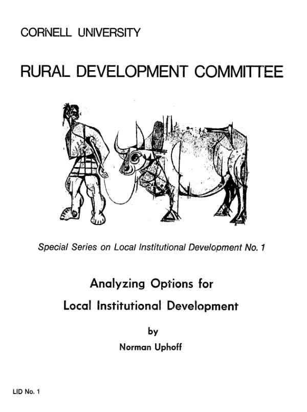 Analyzing options for local institutional development