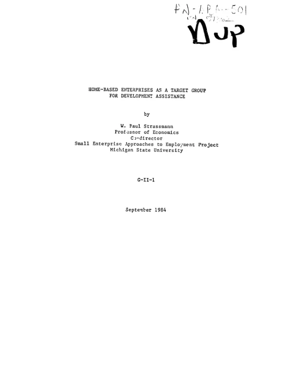 Home-based enterprises as a target group for development assistance