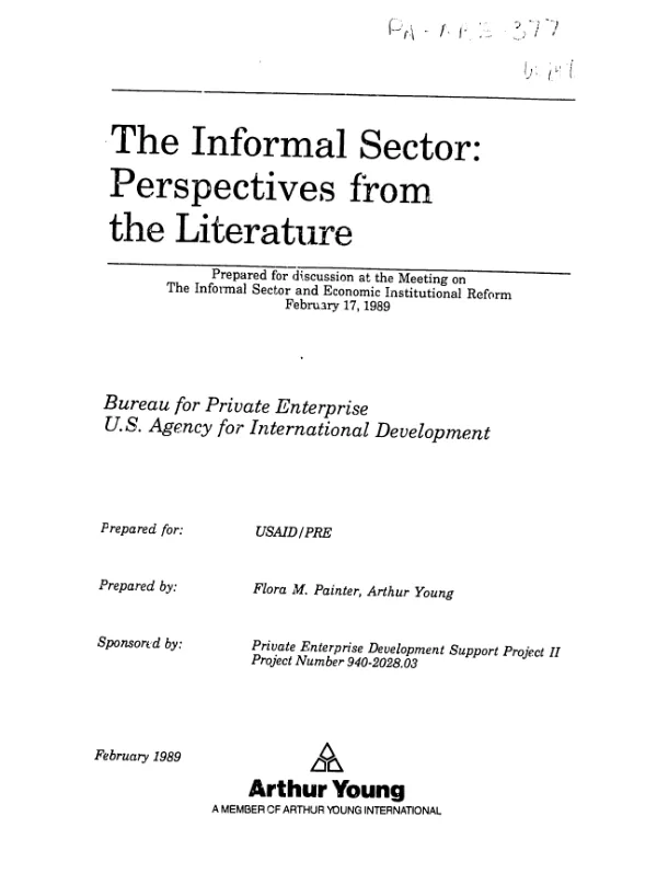 Informal sector : perspectives from the literature