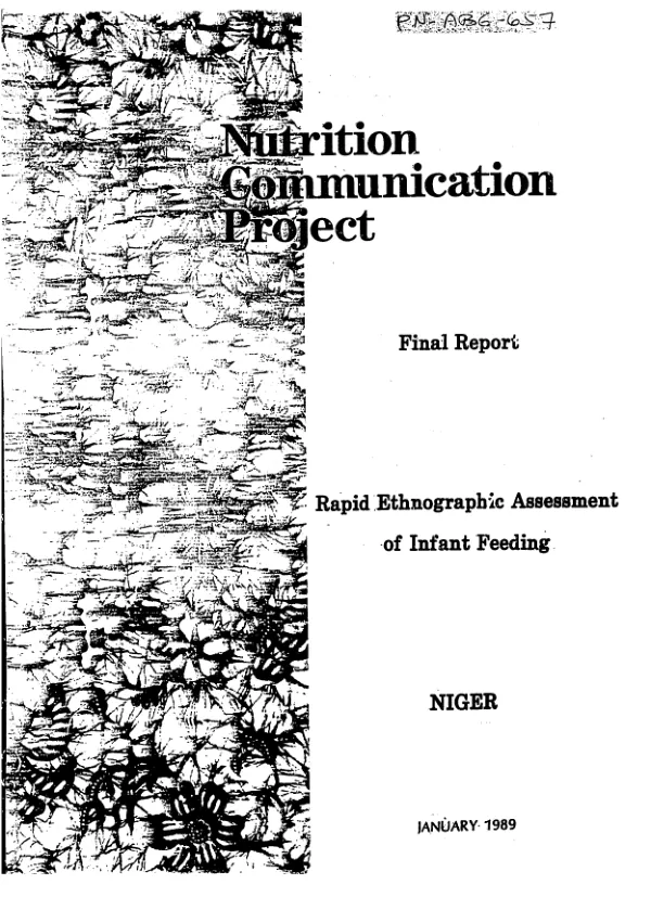 Niger : final report -- rapid ethnographic assessment of infant feeding