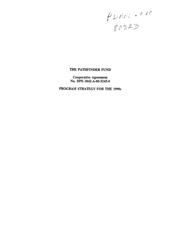 CAW program strategy for the 1990s : no. DPE-3042-A-00-5245-00